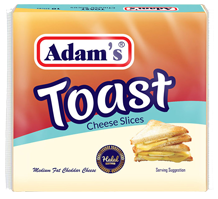 Toast Slice